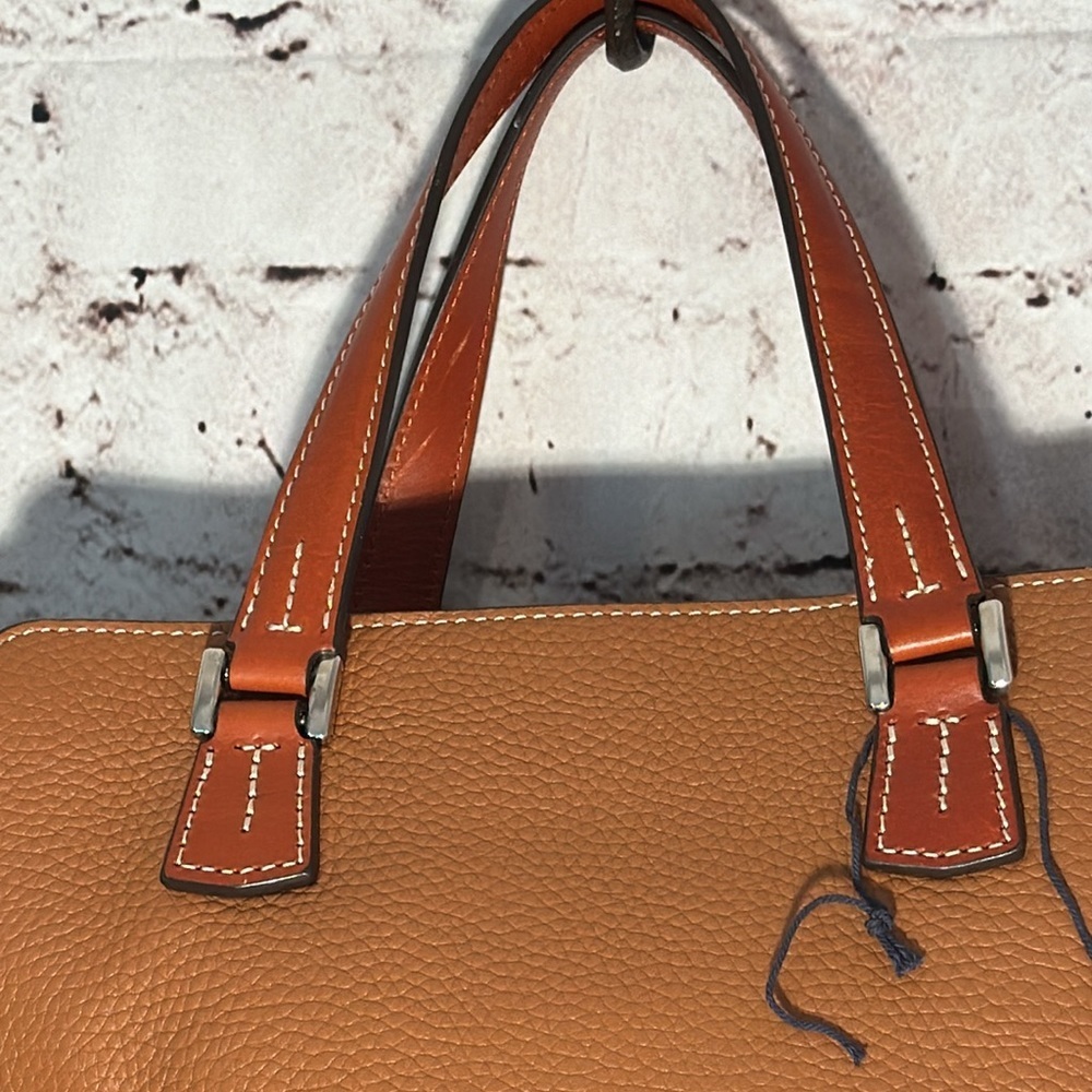Dooney & Bourke Cambridge Small Shopper Satchel Bag - Picture 15 of 17